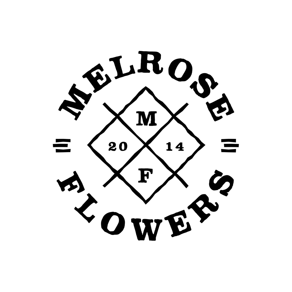 xoAngie - Logo #0016